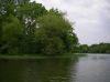 IMGP1049~0.JPG