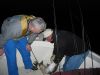 IMG_1709a.JPG
