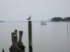 IMG_2744.JPG